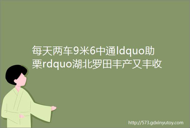 每天两车9米6中通ldquo助栗rdquo湖北罗田丰产又丰收