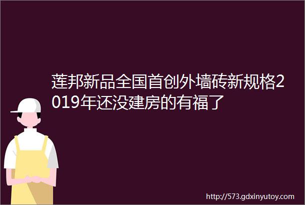 莲邦新品全国首创外墙砖新规格2019年还没建房的有福了